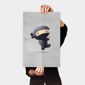 Flying Ninja - Görsel 1