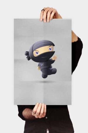 Flying Ninja